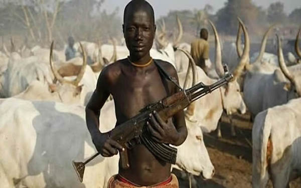 Fulani herdsmen kill