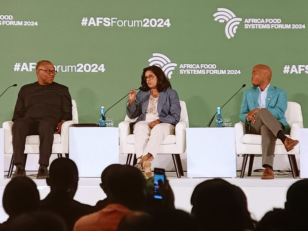 Today, I was one of the panelists at the Africa Food Systems Forum 2024 held in the Rwandan capital Kigali -Peter obi