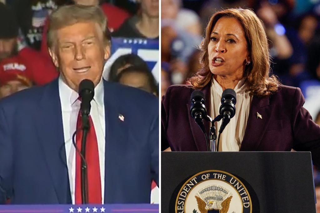 Trump tells Harris she’s ‘fired’ at Michigan rally: ‘You destroy everything you touch’