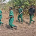 The recruitment of about 1,000 forest guards in Oyo State, is a demonstration of “poor leadership”