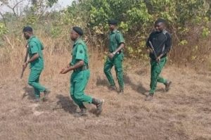 1,000 forest guards in Oyo State