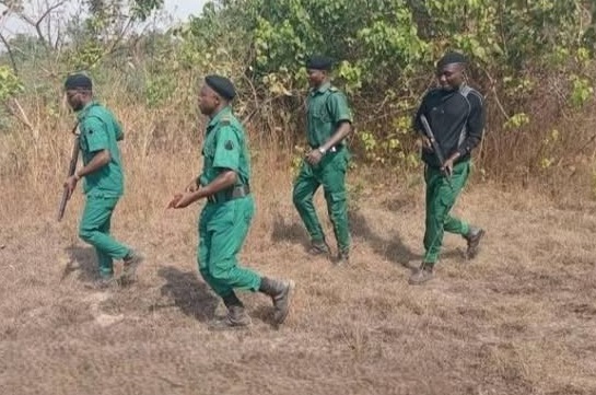 1,000 forest guards in Oyo State
